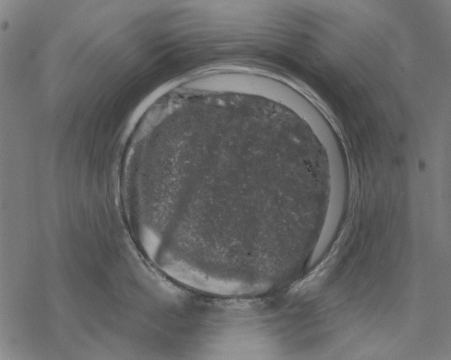 X0000068890862200605261844