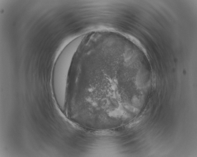 X0000068890863200605261844