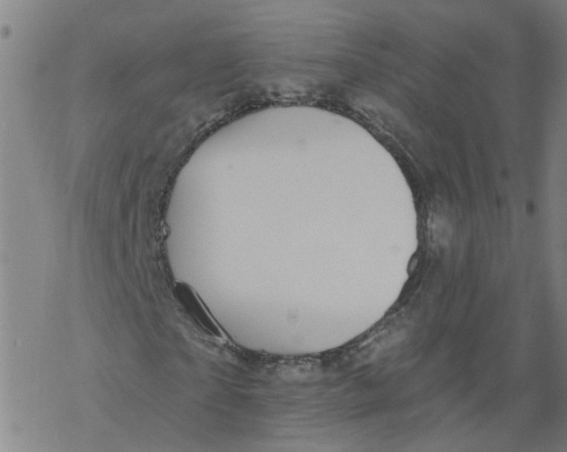 X0000068890865200605261843