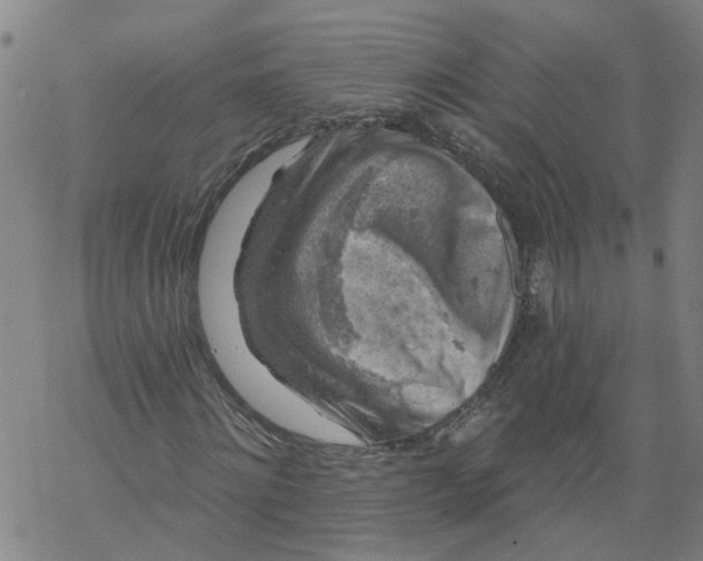 X0000068890868200605261843