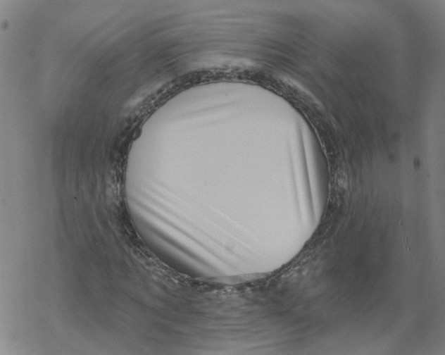 X0000068890869200605261843