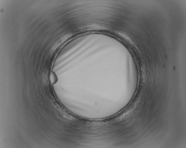 X0000068890873200605261843