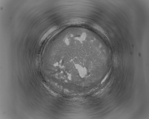 X0000068890874200605261843