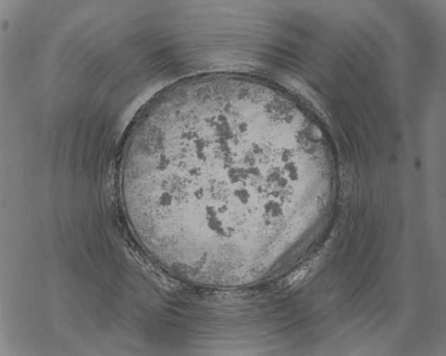 X0000068890875200605261843