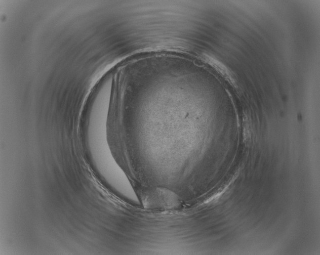 X0000068890876200605261843