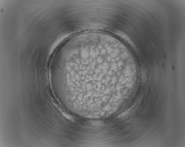 X0000068890878200605261843