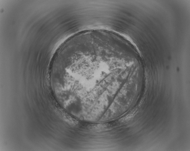 X0000068890879200605261843