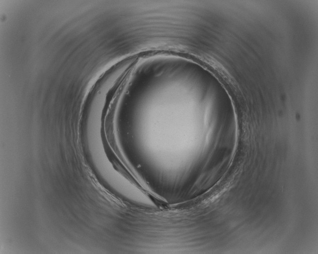 X0000068890880200605261843