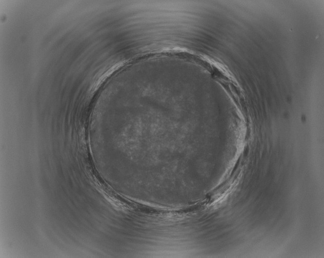 X0000068890881200605261843