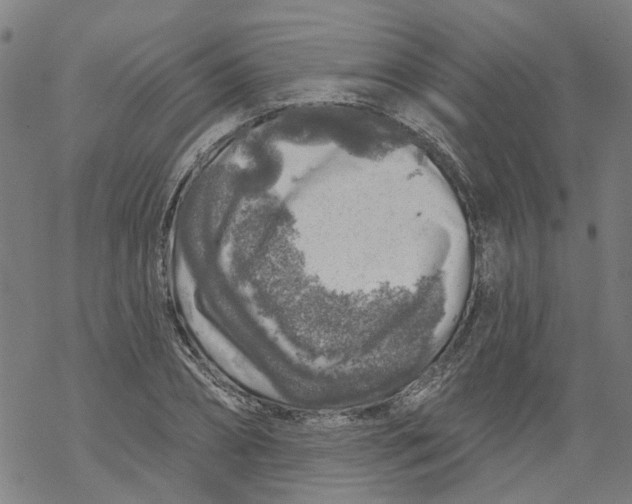 X0000068890882200605261843