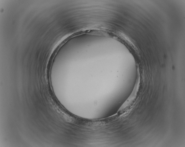 X0000068890884200605261843