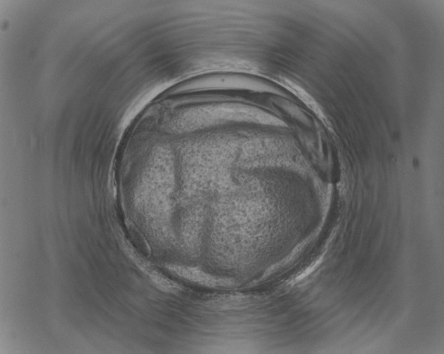 X0000068890885200605261843