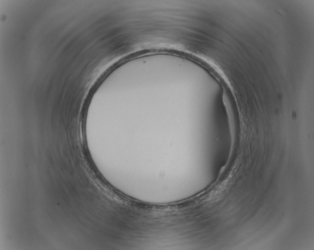 X0000068890887200605261843