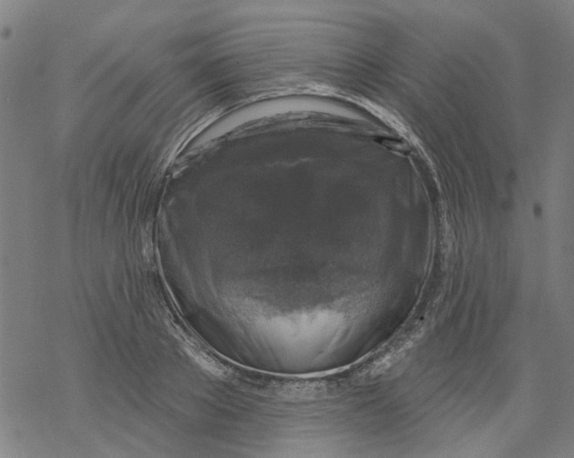 X0000068890889200605261843