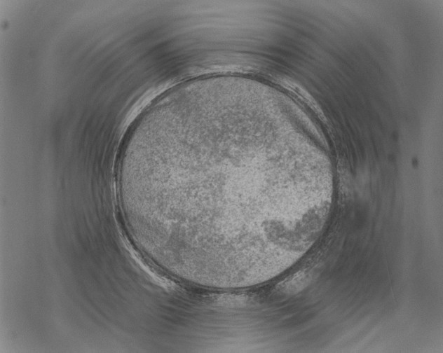 X0000068890890200605261843