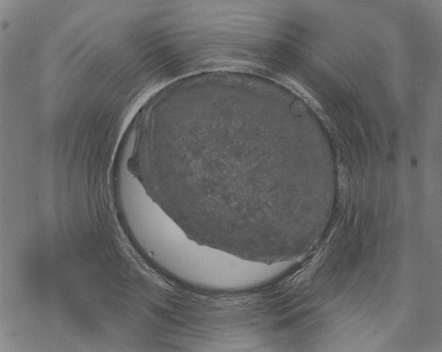 X0000068890891200605261843