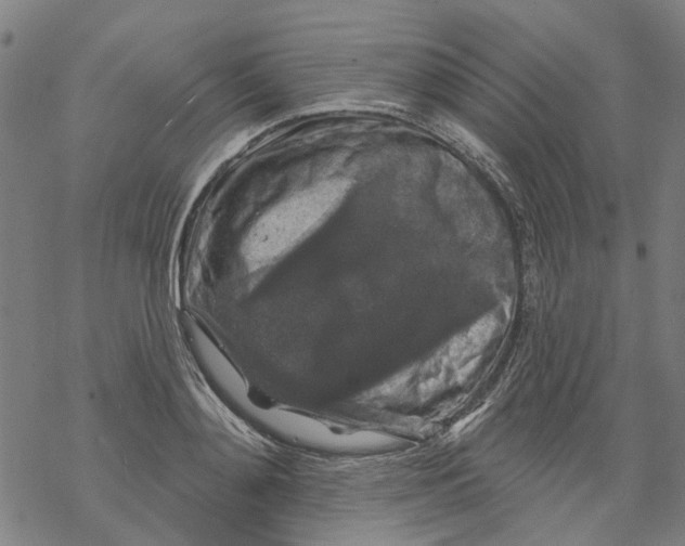 X0000068890892200605261843