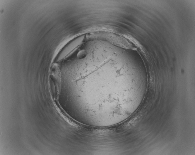 X0000068890894200605261843