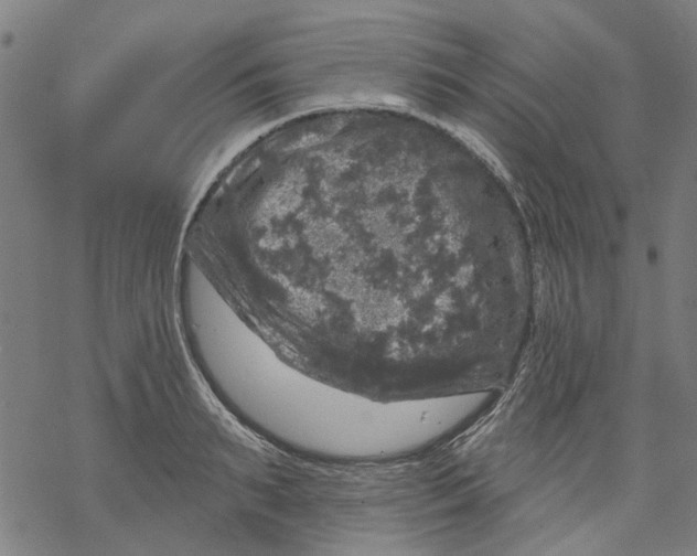 X0000068890895200605261843