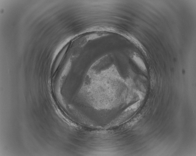 X0000068890896200605261843