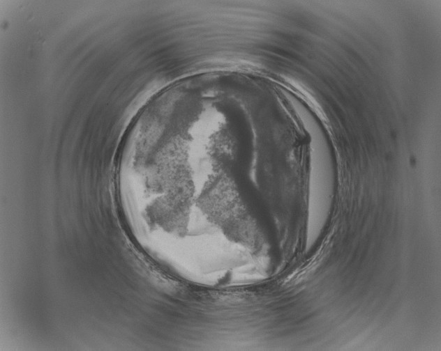 X0000068890899200605261843