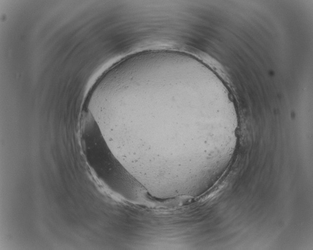 X0000068890904200605261843