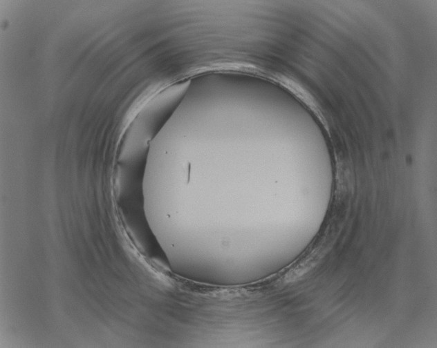 X0000068890906200605261843