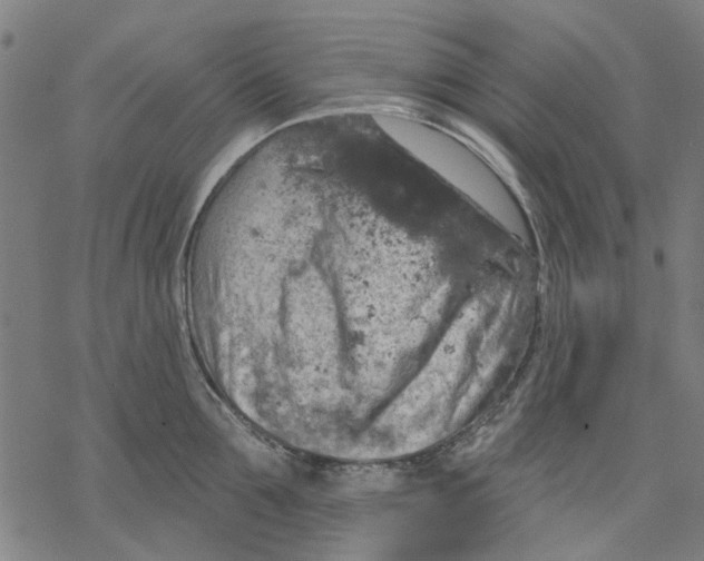 X0000068890907200605261843