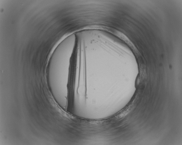 X0000068890908200605261843