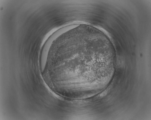 X0000068890910200605261842