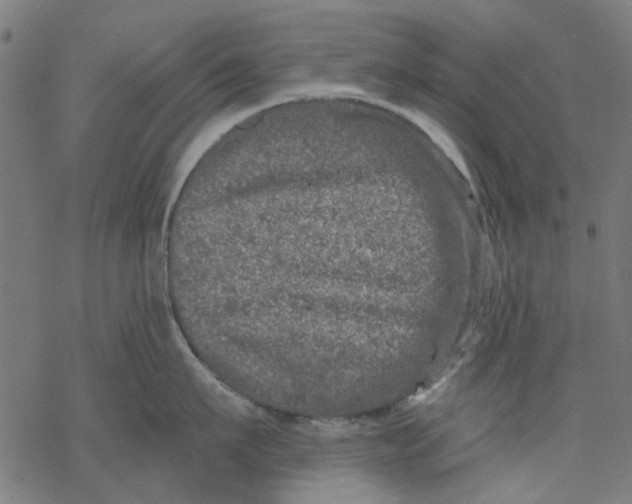 X0000068890911200605261842