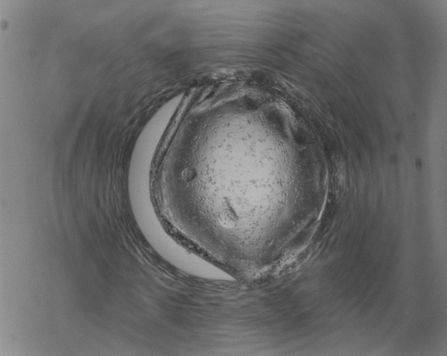 X0000068890914200605261842