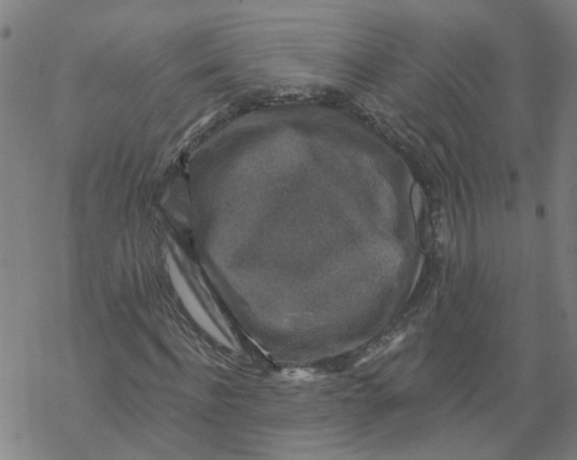 X0000068890916200605261842