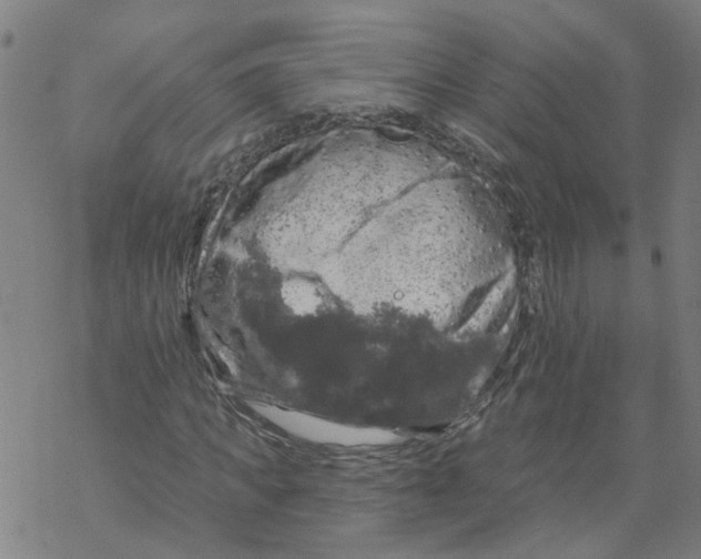 X0000068890917200605261842