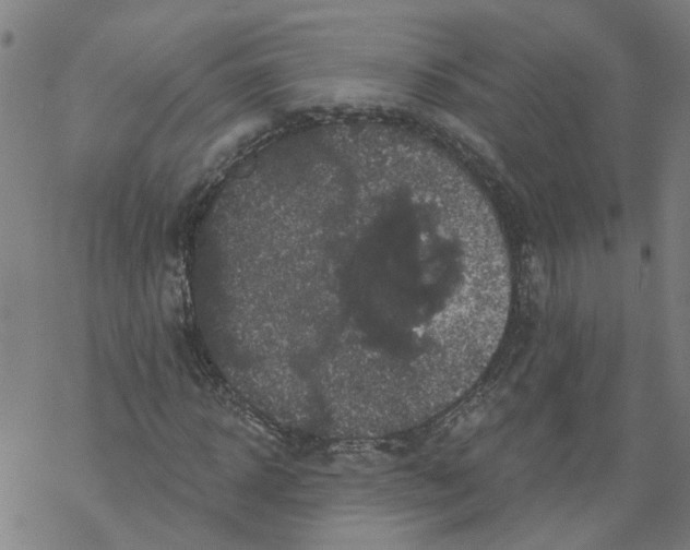 X0000068890918200605261842