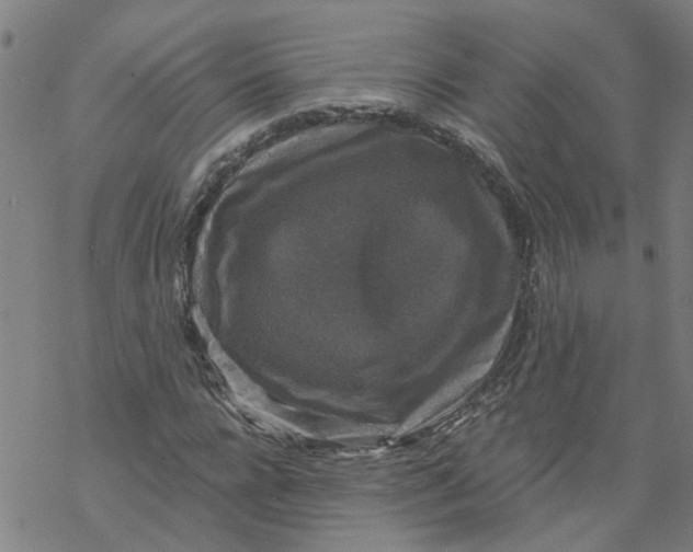 X0000068890920200605261842