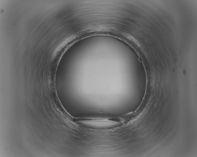 X0000068890922200605261842