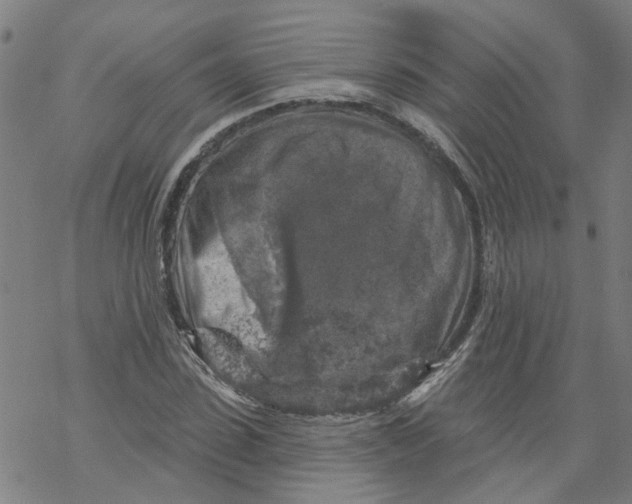 X0000068890923200605261842