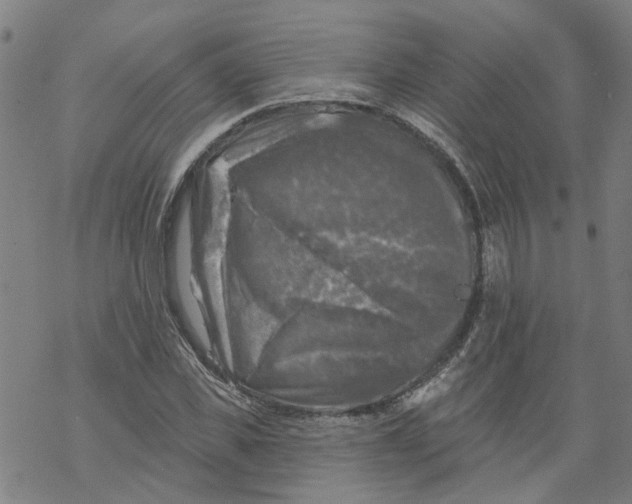 X0000068890925200605261842