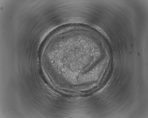 X0000068890926200605261842