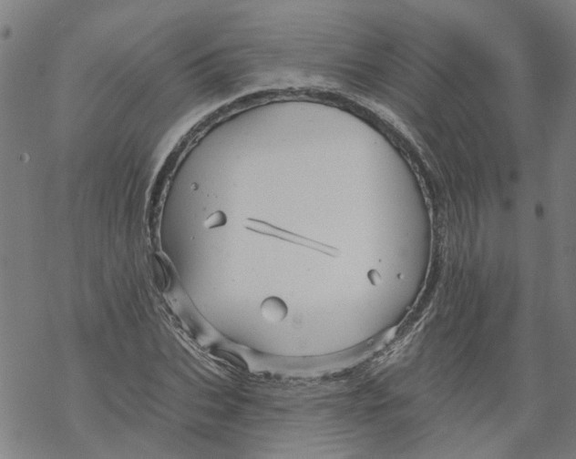 X0000068890927200605261842