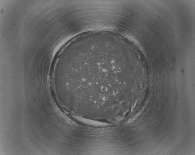 X0000068890928200605261842