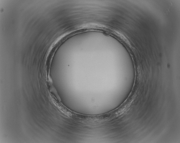 X0000068890931200605261842