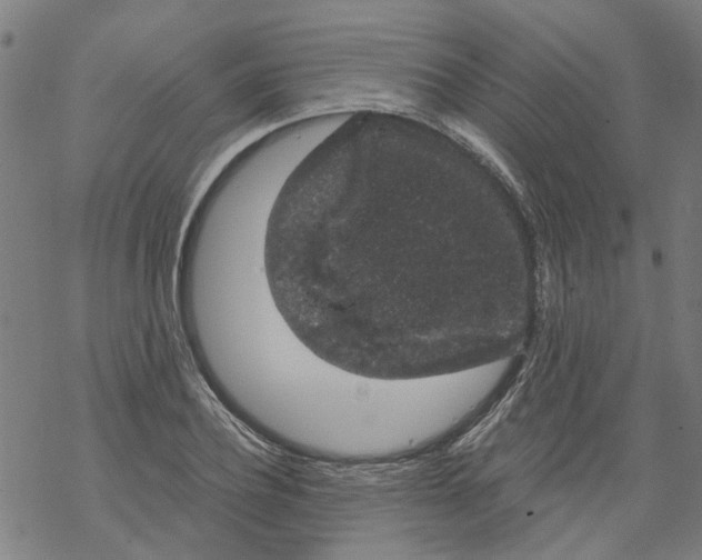 X0000068890932200605261842