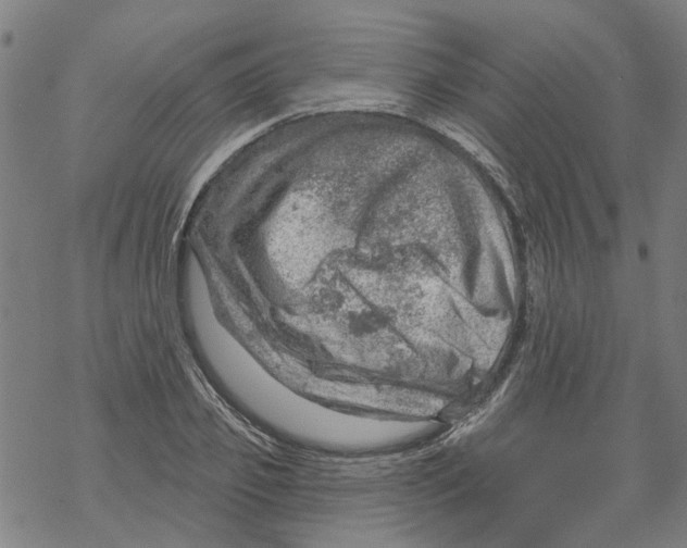 X0000068890933200605261842