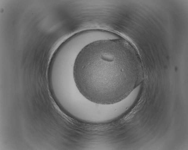 X0000068890935200605261842