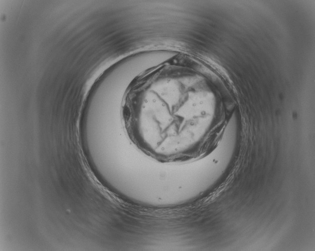 X0000068890936200605261842