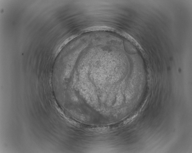 X0000068890937200605261842