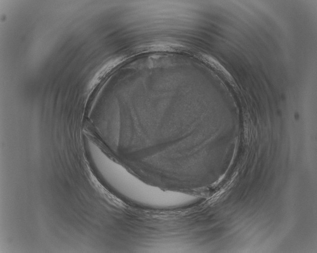 X0000068890938200605261842