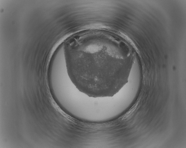 X0000068890939200605261842